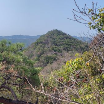 257峰▲
向いは次の焼山