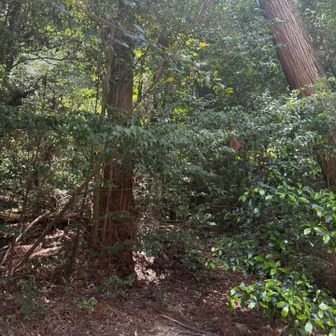 ここを
たぶん
入ります。