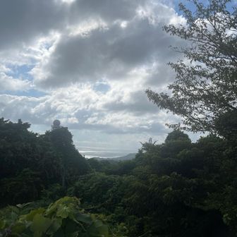 海が見えました。