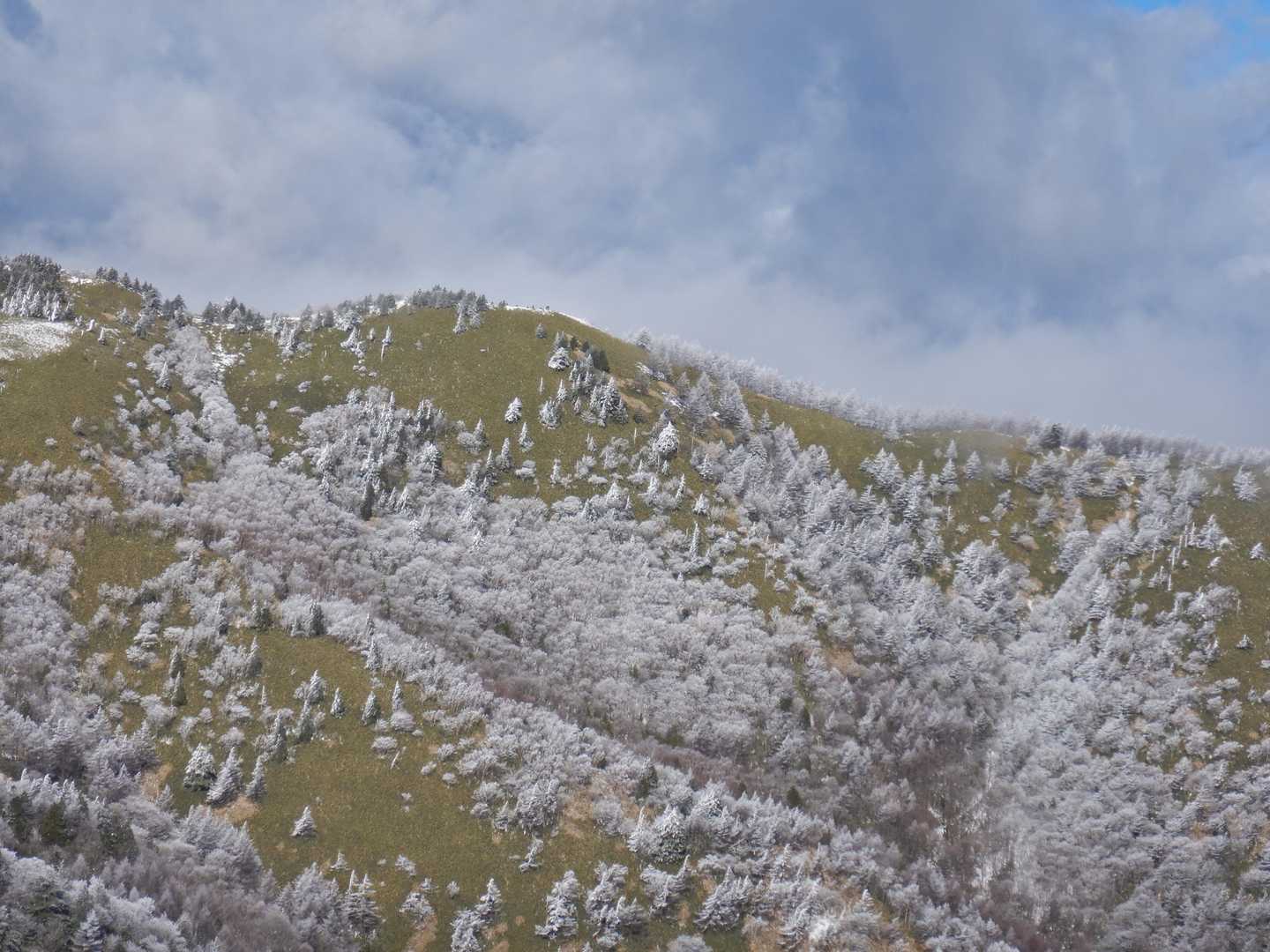 美しい樹氷が見れたのが救い