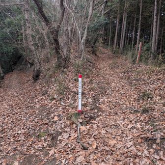 今回は鉢岡山はパスします