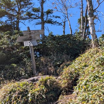 山王峠方面への分岐点だった。
「新薙」へのナゾのコースサインが…🙀と思ったら今登ってきたのが新薙らしい。
