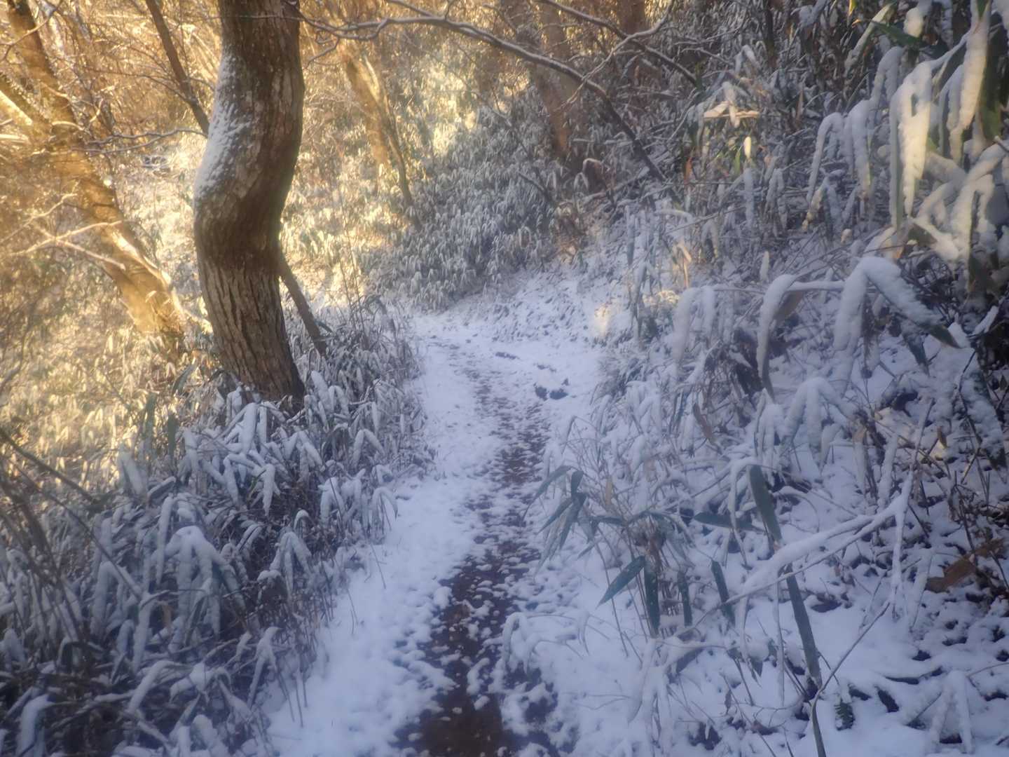 旧寒風山トンネル南口-伊予富士 往復コースの写真