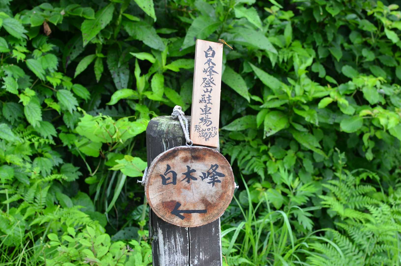 初めての万波登山口の目印