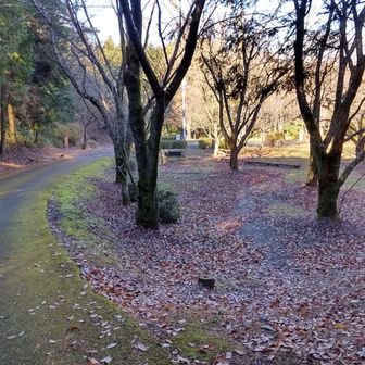 山から降りて来たところです。京セラの森です。
