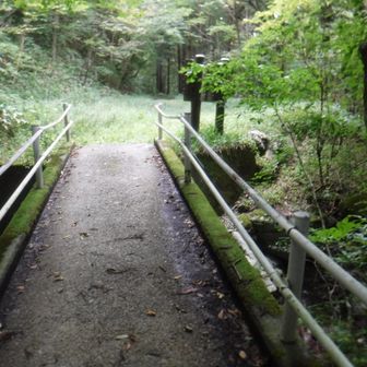 ここから林道歩き