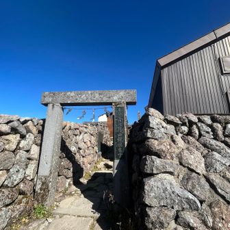 からの神社⛩️