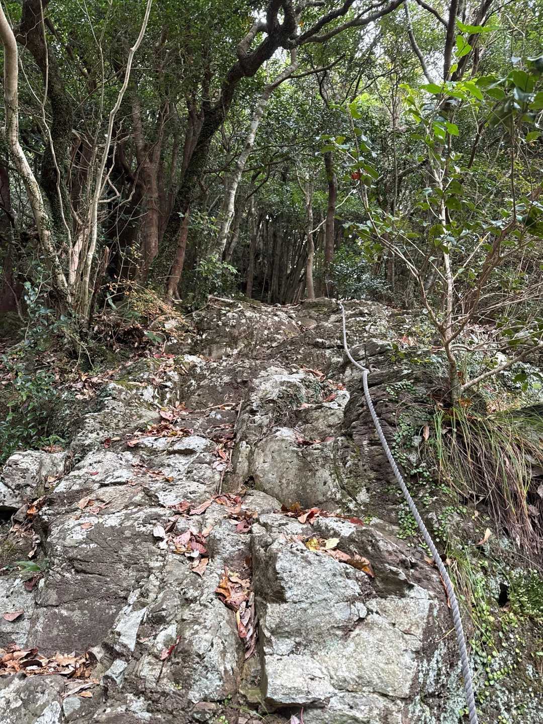 竜門ダム登山口-青牧峠-青螺山-見返り峠 周回コースの写真
