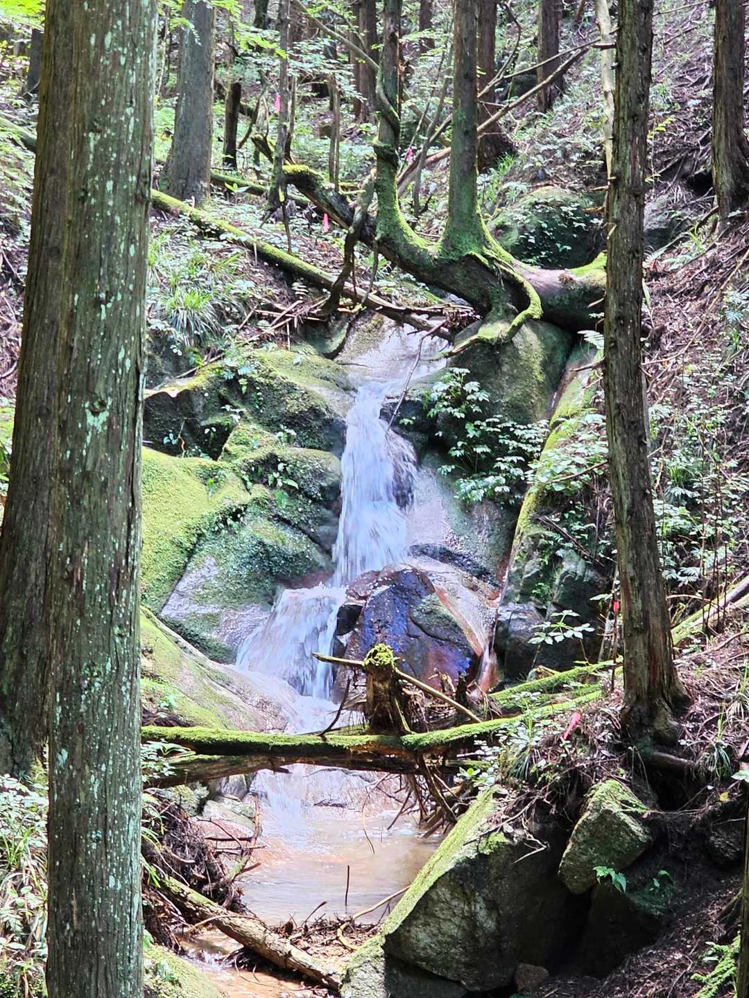 雨後の水量豊かな名も無き滝💧