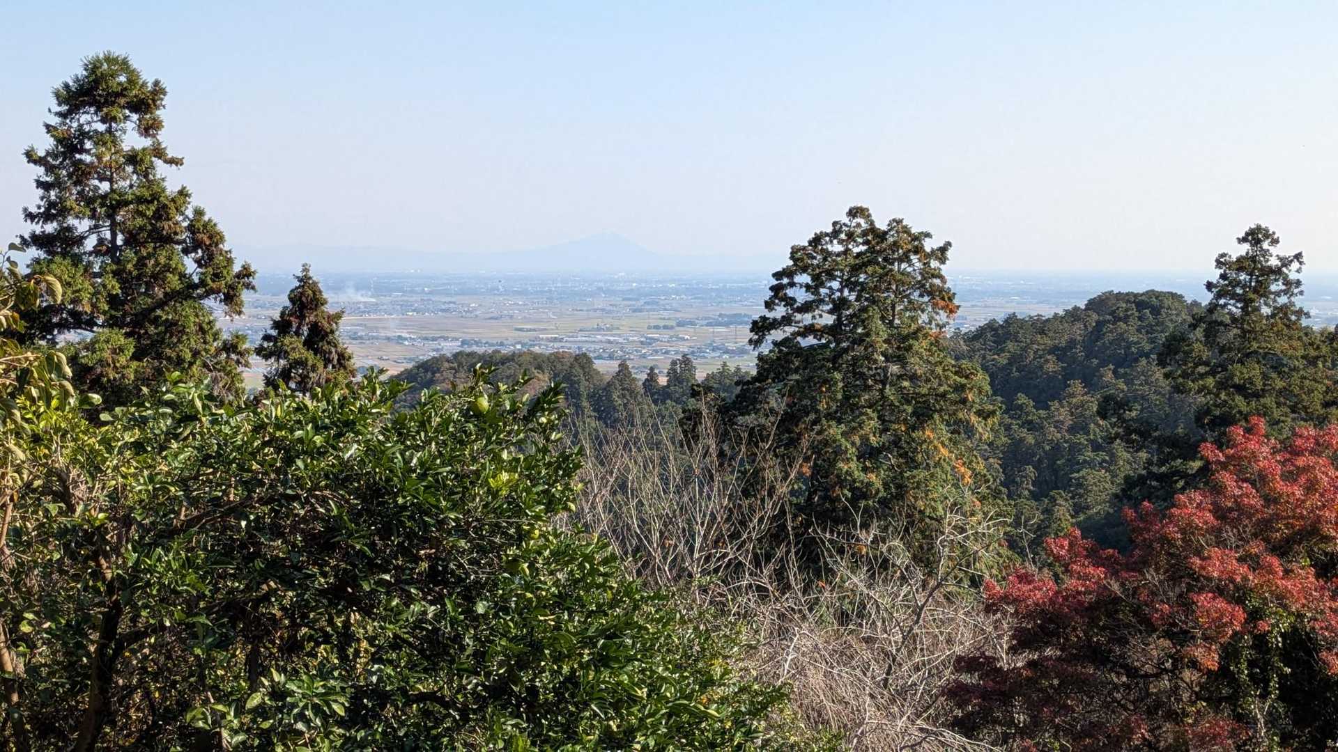 霞んでるけど…筑波山👍