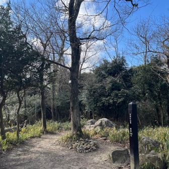 展望はあまりないけど、休憩は可能かな