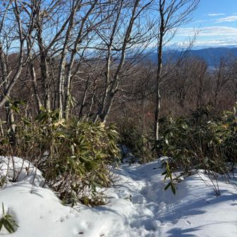 では下山( ´ ▽ ` )ﾉ
