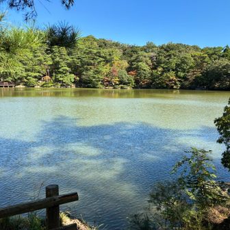 再度公園（ふたたびこうえん）に寄り道