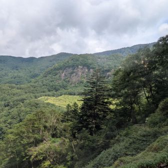 これから行く鉱山跡