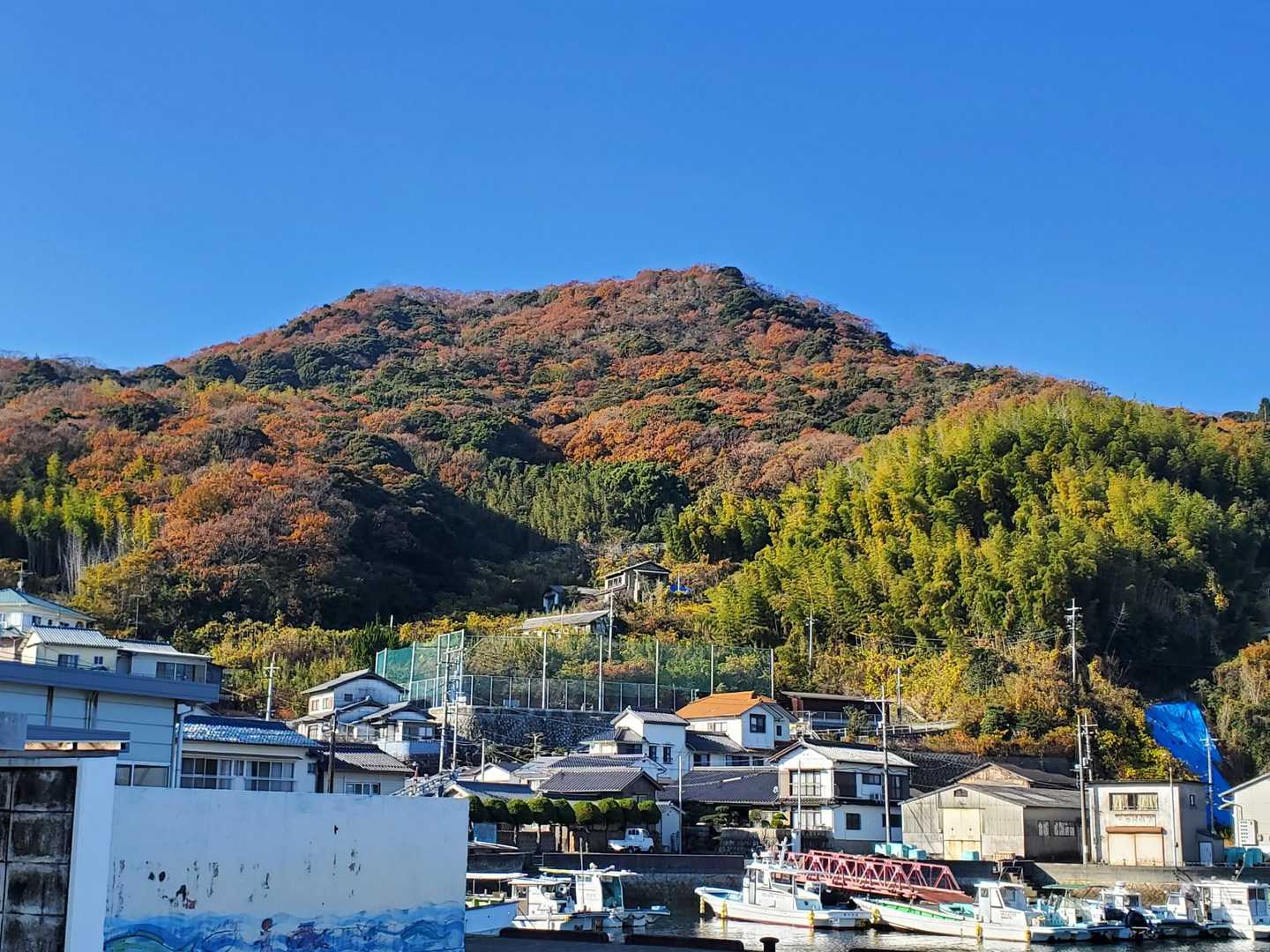 さあ登るぞ🙋