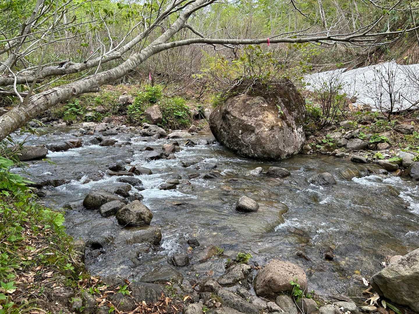 振り返り
ぐらつく石や滑る石、ちょっと沢水がかかる石も
でもルートちゃんと見える水量でホッとしました