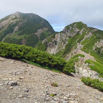 此処から分岐までの尾根筋は横風がキツかった