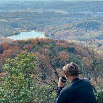 池の水　少なくない？