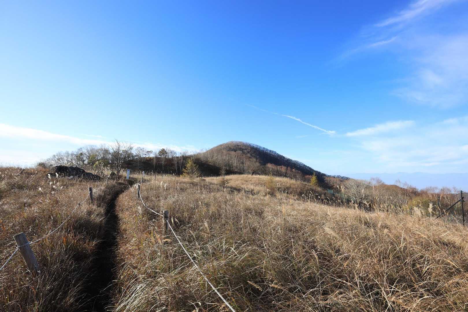 湯ノ沢峠登山口-湯の沢峠-大蔵高丸-ハマイバ丸-白谷ノ丸 周回コースの写真