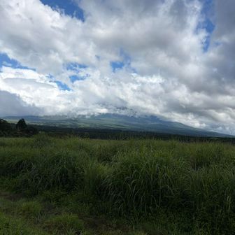雨上がったから、富士山期待したけど無理でした。