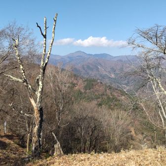 西方の展望かなぁ？