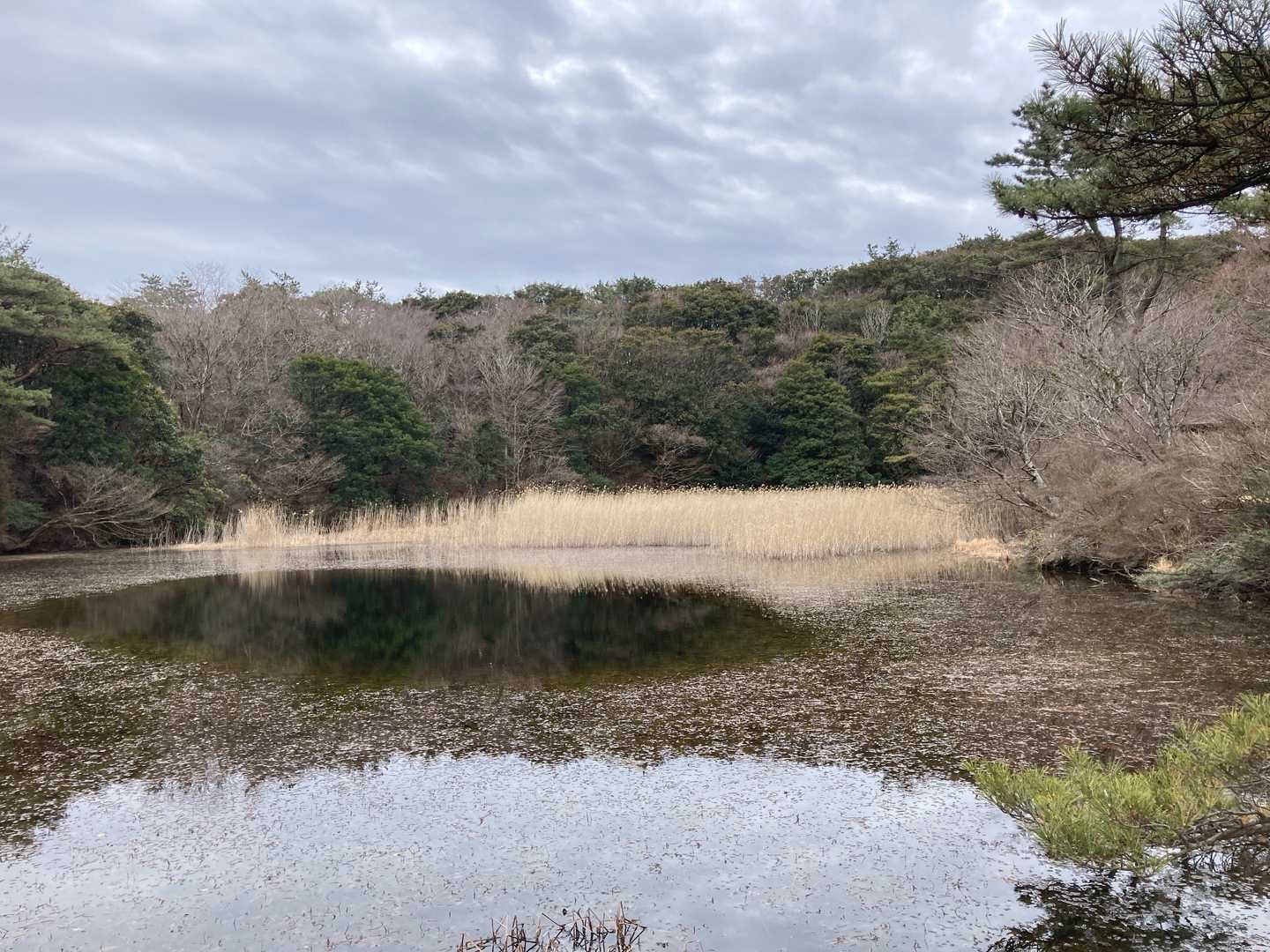 非日常的ですね
