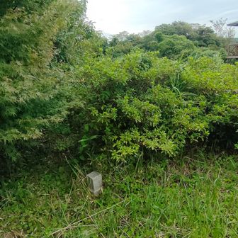 さんかく▲五本松公園