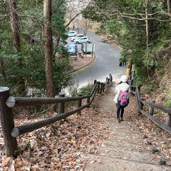 駐車場が見えてきた✨
この後時間があったので、竹島へ
