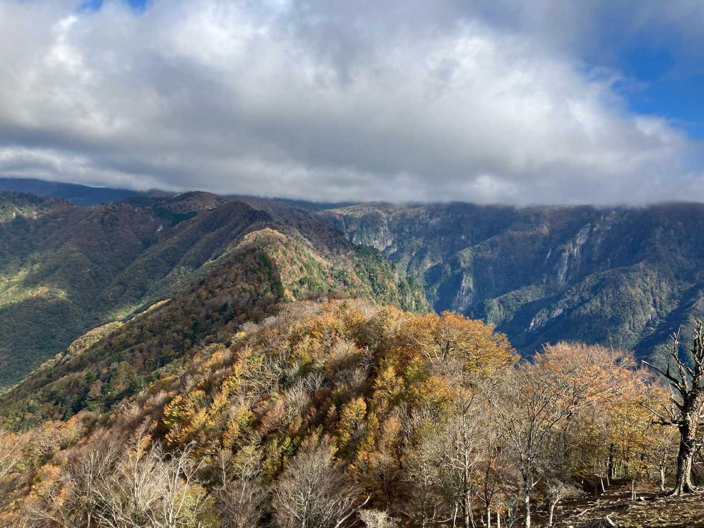 奥に大台ヶ原。竜口尾根、竜の背中は紅葉しています。更に🍁は進む？