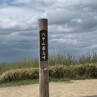 山サウナナース