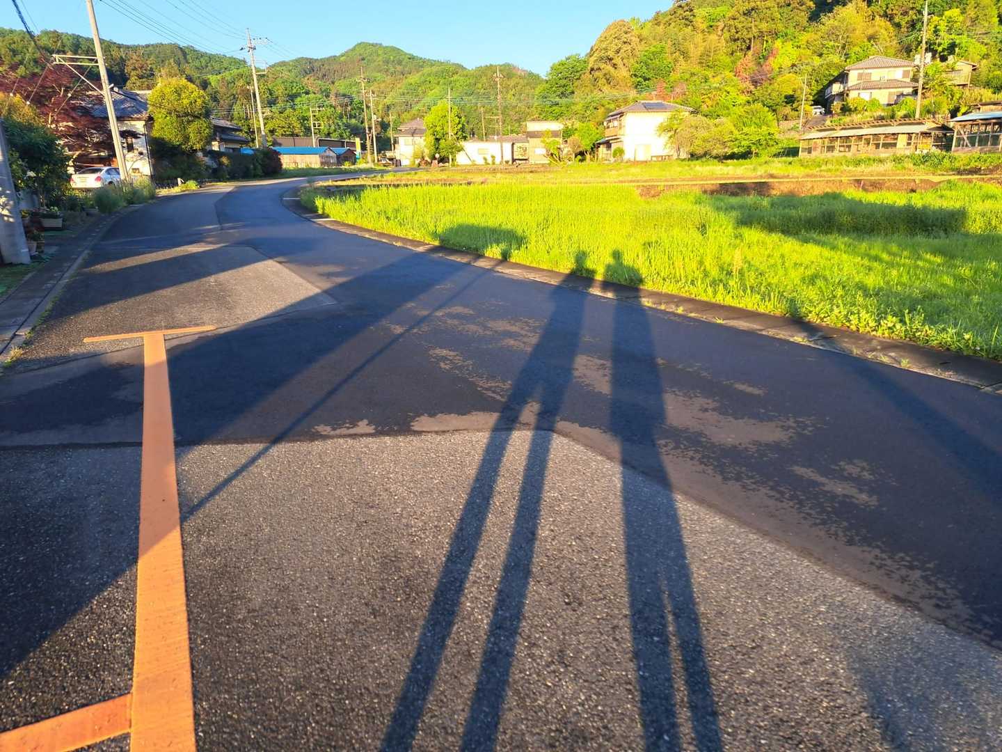 朝早いとこういう写真が撮れて好き☝️足長～い✌️

今日もよろしくお願いしますー