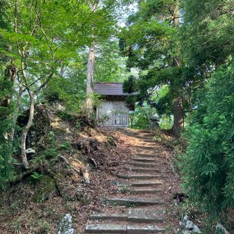 東峰から東の登山道へ少し下ってみたが、この先も展望無さそうな感じなのでここで引き返すことにしました