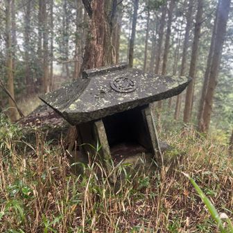 岡藩（おかはん）の藩主・中川家の家紋（「中川クルス」または「丸に中川大中臣」の紋）。

中川家の裏家紋が「中川ルクス（正しくは中川クルス）」と呼ばれる理由は、ポルトガル語で「十字架」を意味する「クルス（cruz）」に由来しているからです。
江戸時代、キリスト教の「十字架」という言葉をそのまま使うことは禁じられていたため、当時の人々は「クルス」という外来語を当てはめて「久留子（くるす）紋」と呼びました。それが中川家の固有の紋章であることから「中川クルス」と通称されるようになりました。
Google先生🧑‍🏫