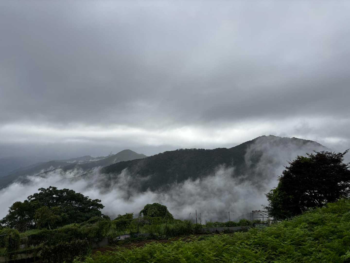 大都会・東京の山中に深く刻まれた、ダイナミックな“岩石”の谷の写真