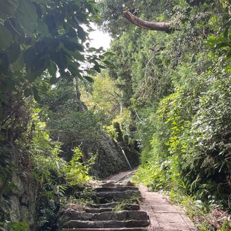宝山寺の大階段を避けるように左に逸れて生駒山上遊園地にダイレクトに向かいます。