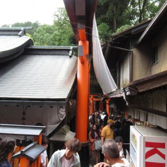 そういう登山道(ちがう)