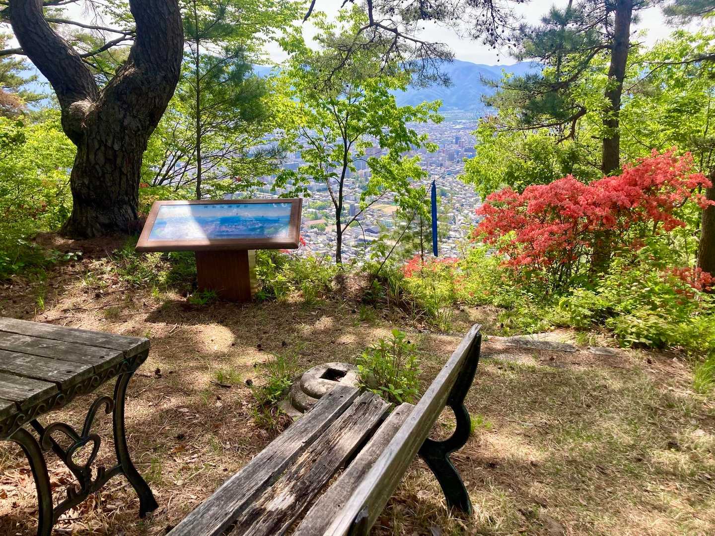 🚩頼朝山に到着。木陰が気持ち良いほど、暑くなってきました☀️