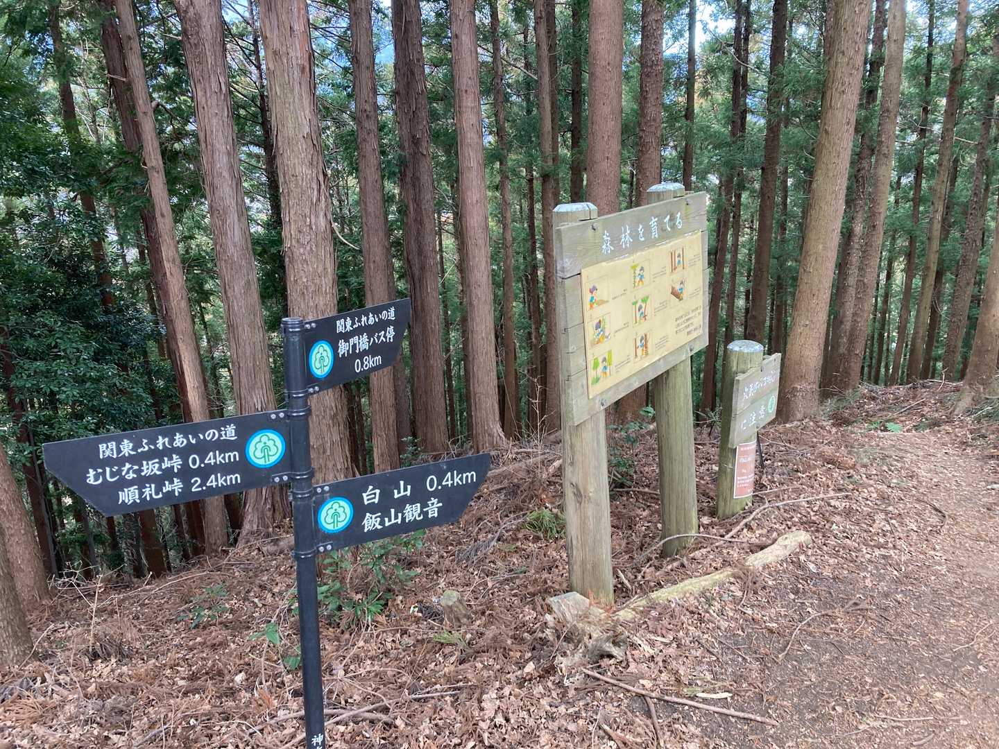分岐まで来ました❗👌