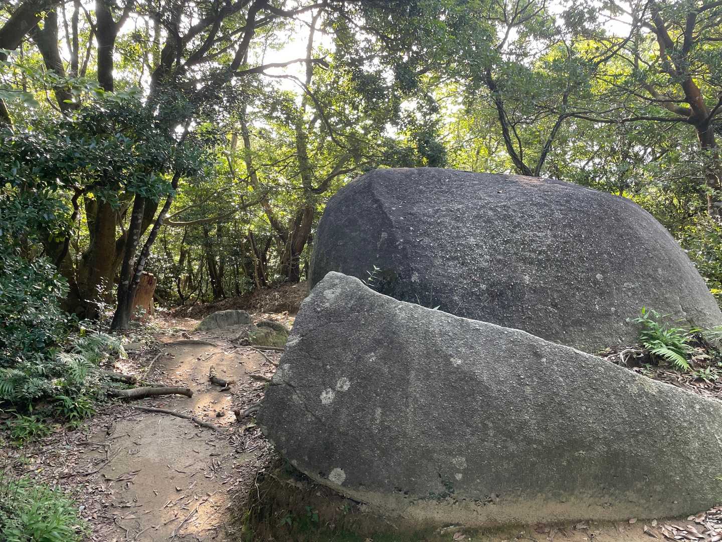 油山観音から登って来た所の分岐にある🪨