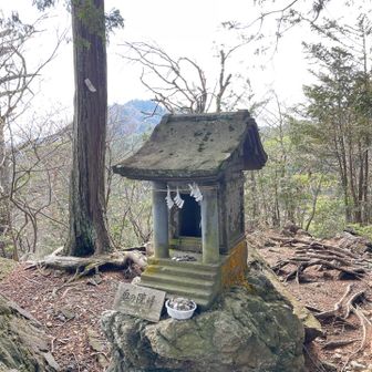 奥の山が大岳山かと。あそこから歩いてきたのね。