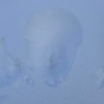 はい、やって後悔した顔タク🥸

顔面の皮、剥がれるかと思った😂