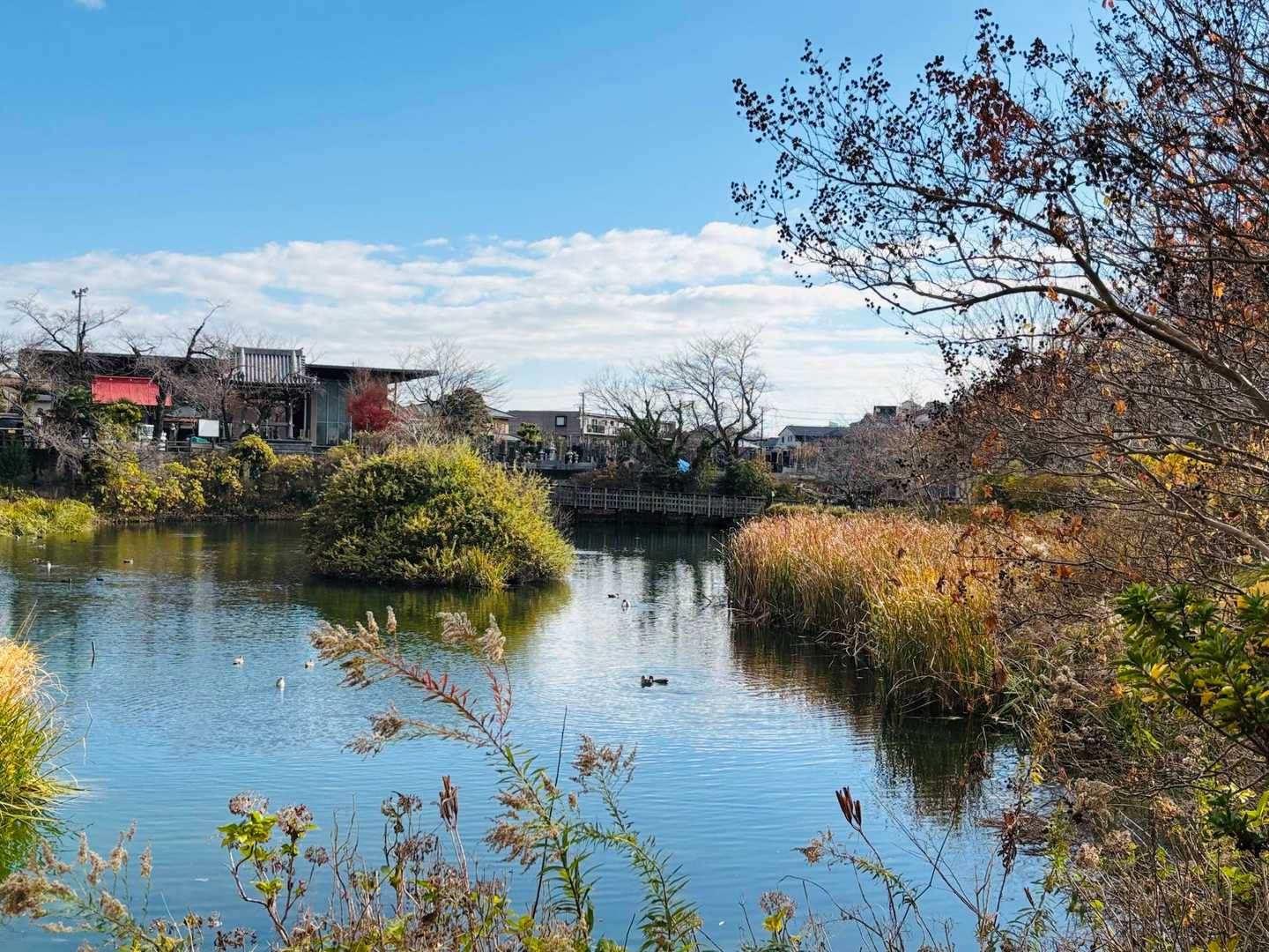 ヤマスタポイント①
今泉名水桜公園