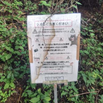 この辺りでクマ目撃とのこと。