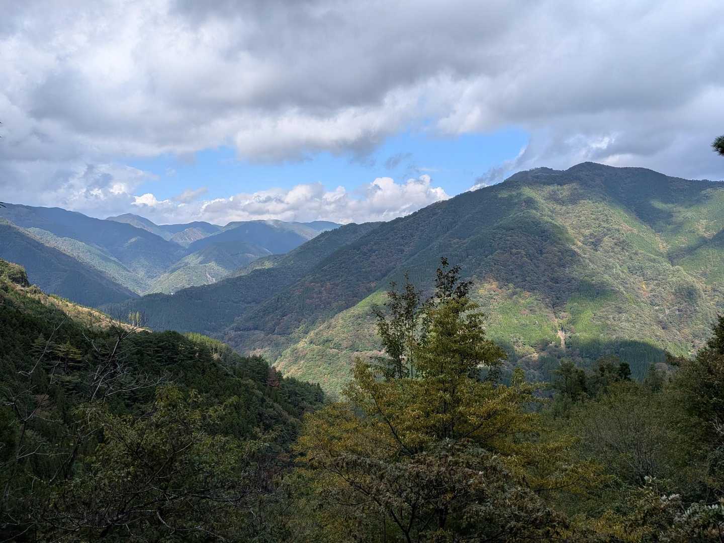 上福根山登山口-烏ヶ原山-上福根山 往復コースの写真