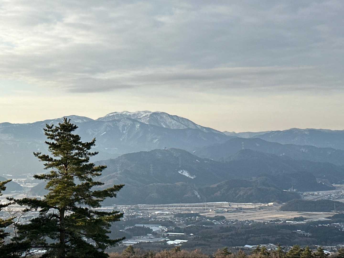 雪化粧してます✨