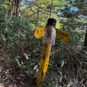 大凪山登頂！
もうヘロヘロですわ