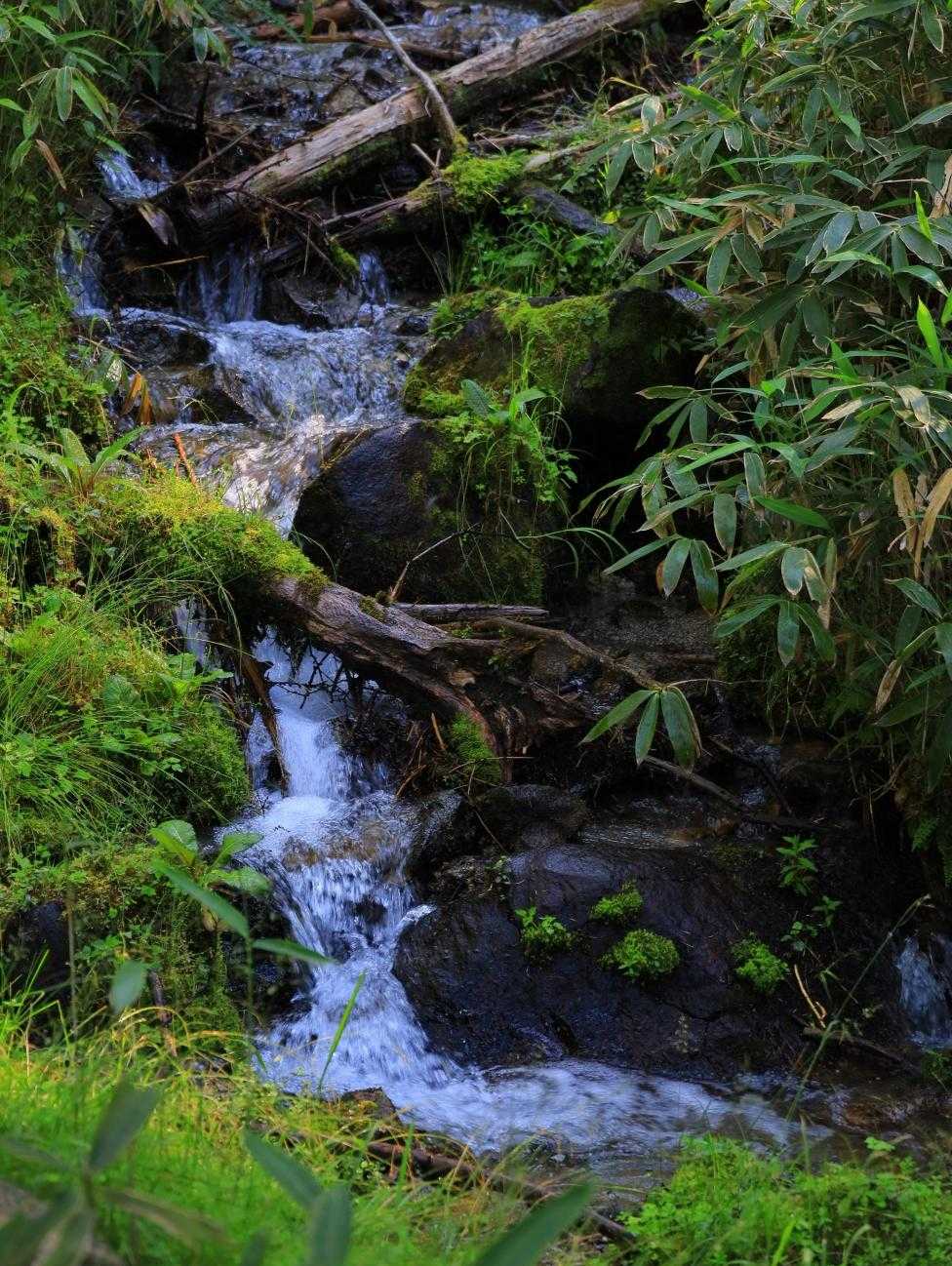 笠取山（作場平）の写真