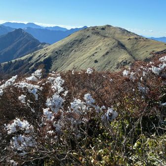 風の通り路は寒いので南面でも雪が残る