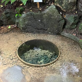清正井です
パワースポットらしいです
綺麗な水が湧いてます
他に人がいてなかなかゆっくり撮れず