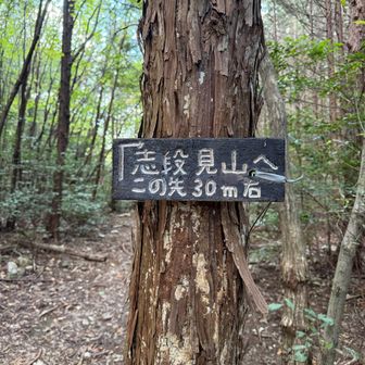 志段見山への案内板
